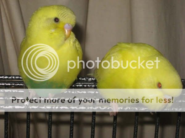 Picture137.jpg