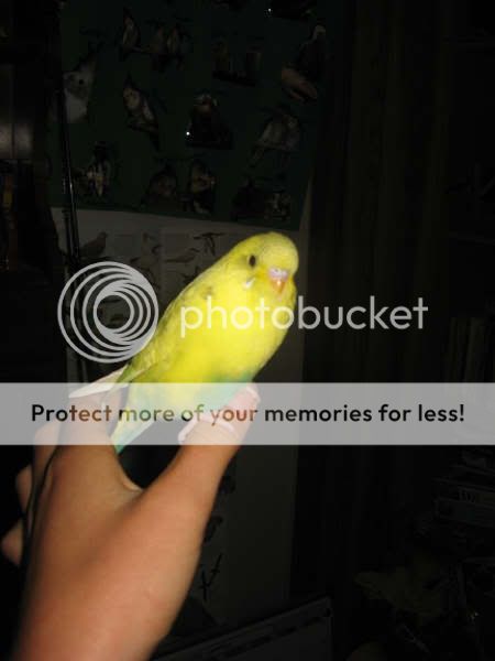 Picture150.jpg
