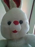 th_IMG1194A.jpg
