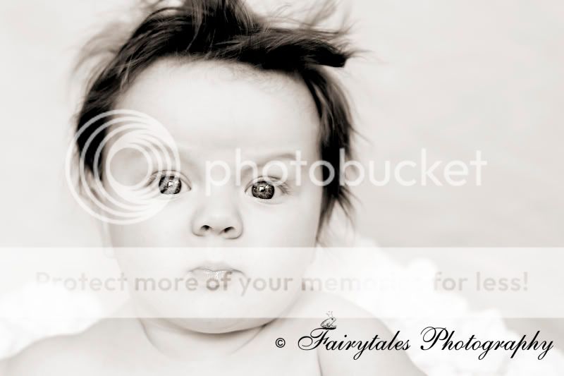 COPYRIGHT FAIRYTALES PHOTOGRAPHY