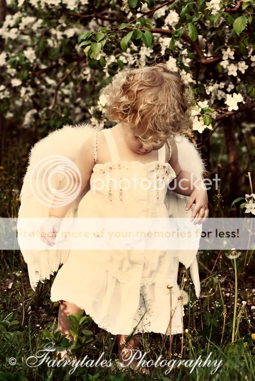 COPYRIGHT FAIRYTALES PHOTOGRAPHY