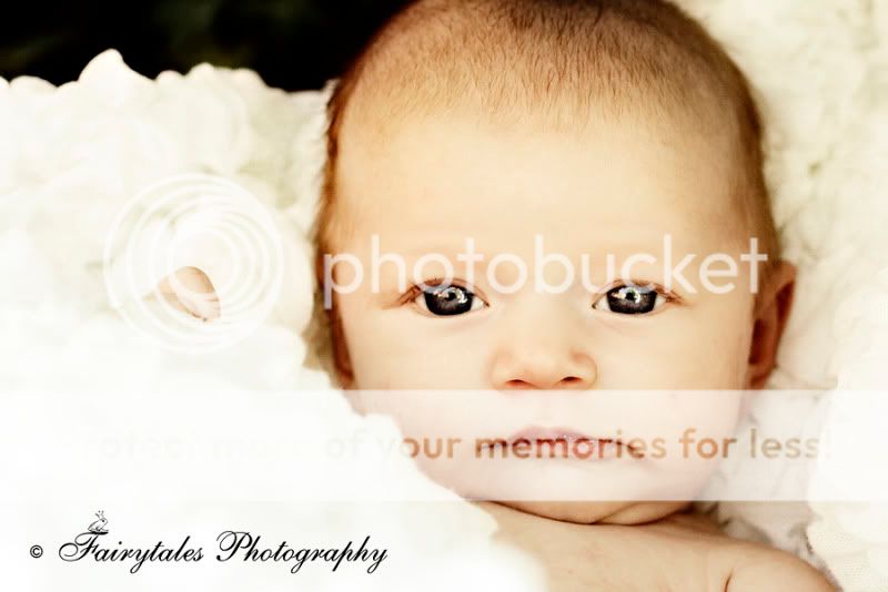 COPYRIGHT FAIRYTALES PHOTOGRAPHY