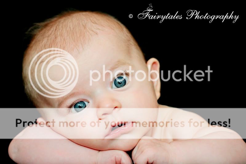 COPYRIGHT FAIRYTALES PHOTOGRAPHY