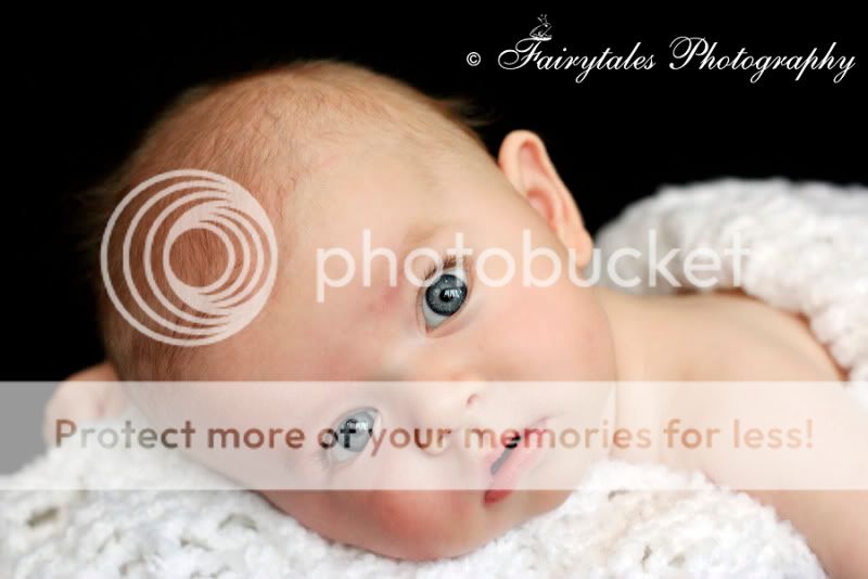 COPYRIGHT FAIRYTALES PHOTOGRAPHY