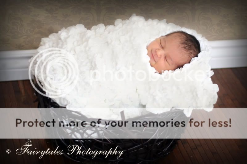 COPYRIGHT FAIRYTALES PHOTOGRAPHY
