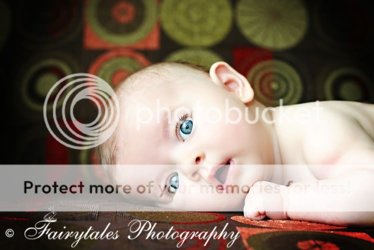 COPYRIGHT FAIRYTALES PHOTOGRAPHY