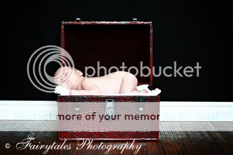 COPYRIGHT FAIRYTALES PHOTOGRAPHY