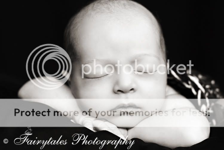COPYRIGHT FAIRYTALES PHOTOGRAPHY