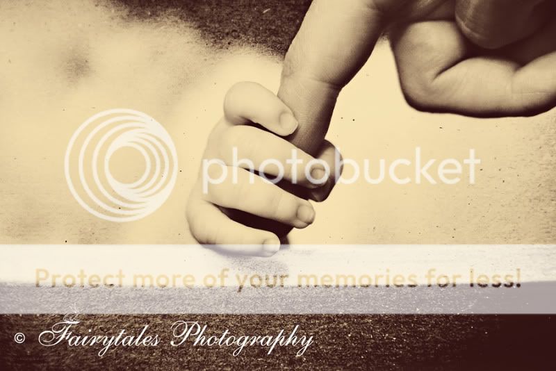 COPYRIGHT FAIRYTALES PHOTOGRAPHY