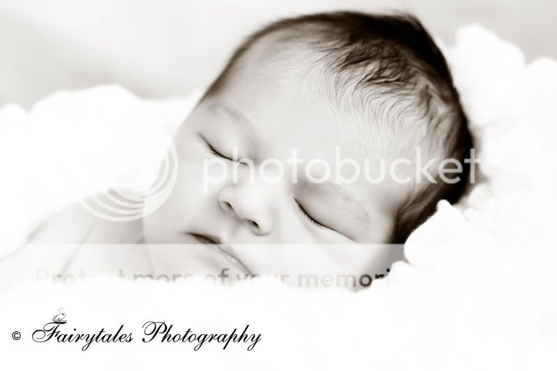 COPYRIGHT FAIRYTALES PHOTOGRAPHY