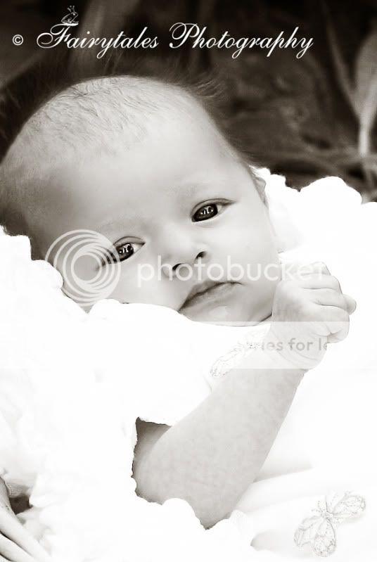 COPYRIGHT FAIRYTALES PHOTOGRAPHY
