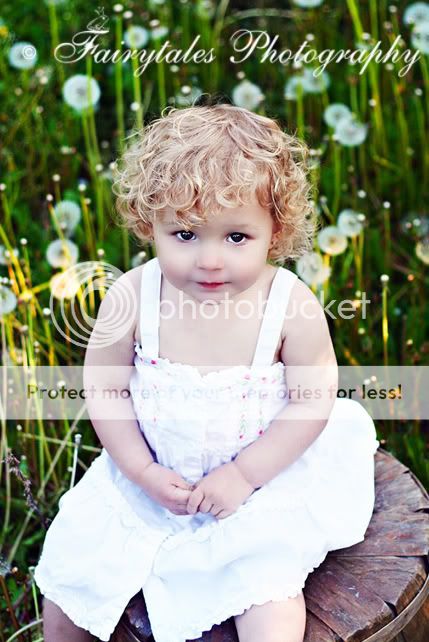 COPYRIGHT FAIRYTALES PHOTOGRAPHY
