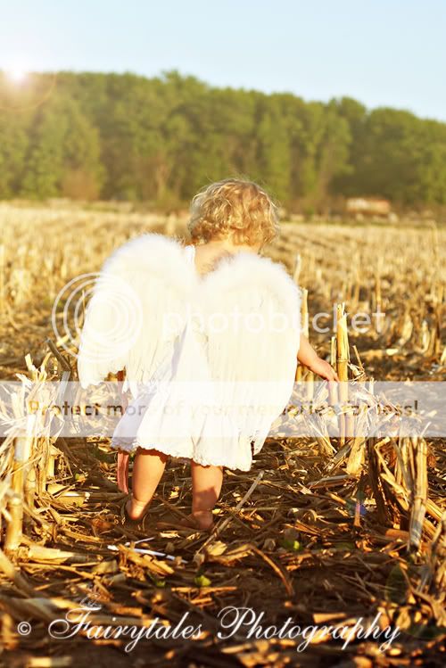 COPYRIGHT FAIRYTALES PHOTOGRAPHY
