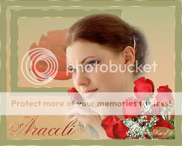 http://i410.photobucket.com/albums/pp188/fuentedevida7/Obras%20-set/Obras%20sets2/DamerAraceli.jpg?t=1269363385