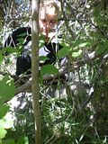 DSCN1663.jpg image by wildthingsgroup