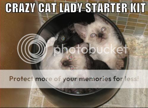 http://i410.photobucket.com/albums/pp190/FindStuff2/Funny/Funny%20Cats/CATLADYSTARTERKIT.jpg