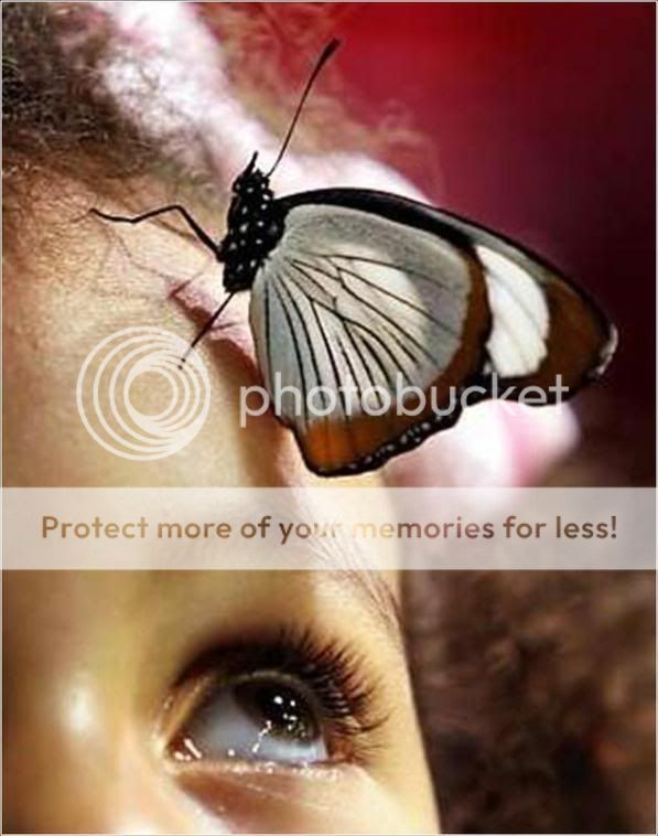 animal Pictures, Images and Photos