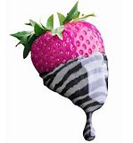 zebra3.jpg image by FindStuff2