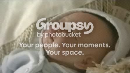 dsfdsf.jpg